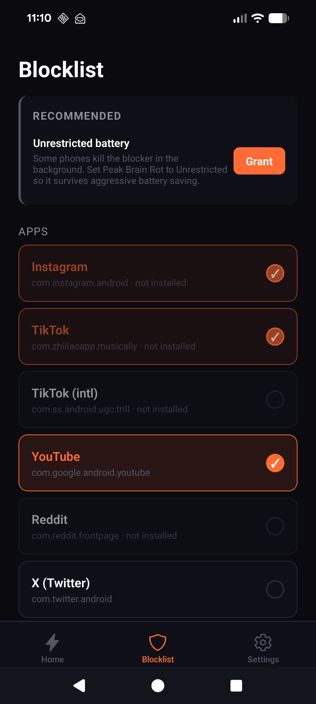 Blocklist with Instagram, TikTok, YouTube selected